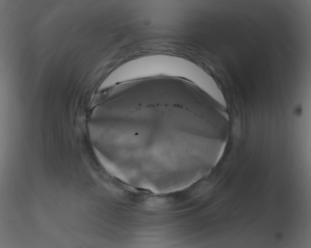 X0000116590332200912312041