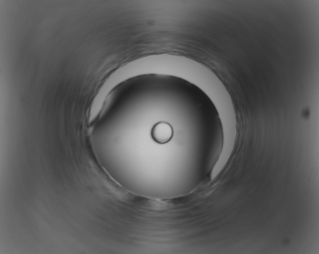 X0000116590333200912312041