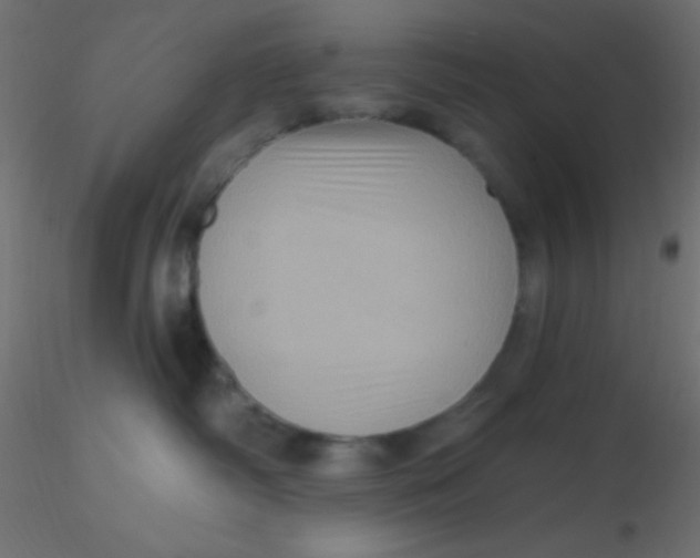 X0000116590334200912312041