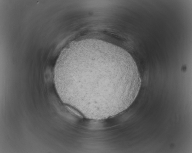 X0000116590335200912312041