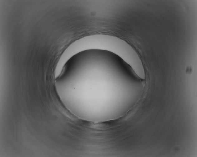 X0000116590336200912312041