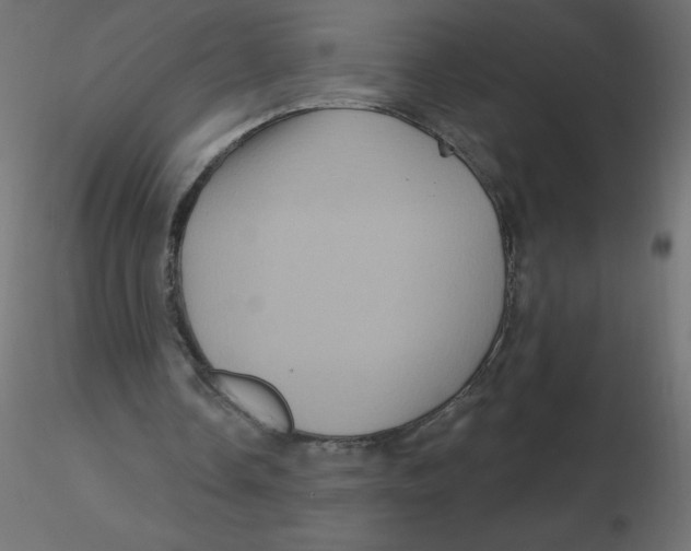 X0000116590338200912312040