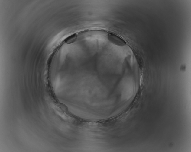 X0000116590339200912312040