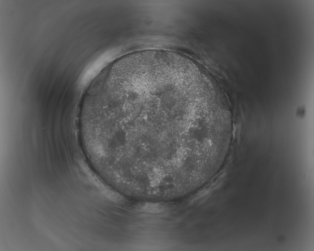 X0000116590341200912312040