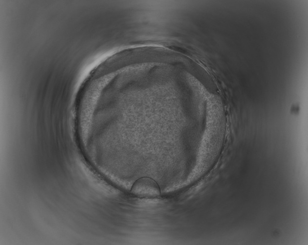 X0000116590342200912312040