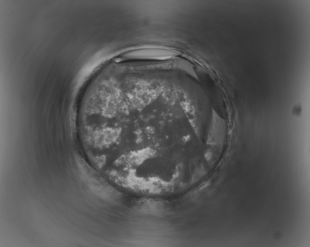 X0000116590343200912312040