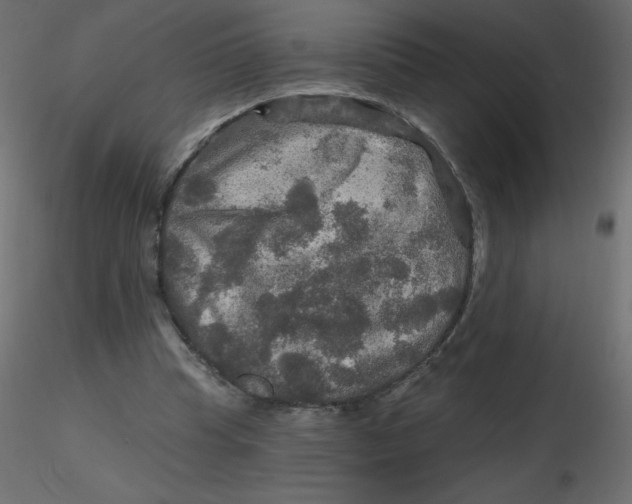 X0000116590345200912312041