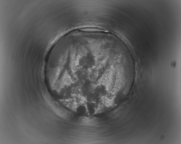 X0000116590346200912312041