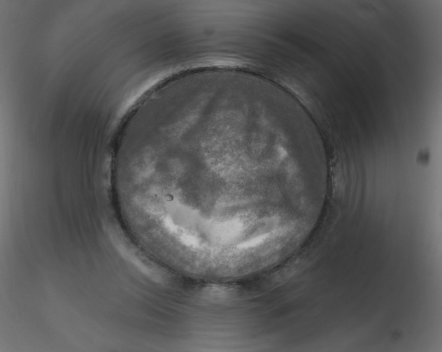 X0000116590350200912312041