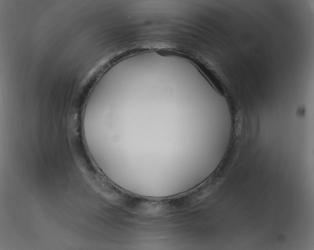 X0000116590351200912312041