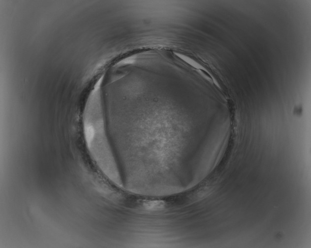 X0000116590355200912312041