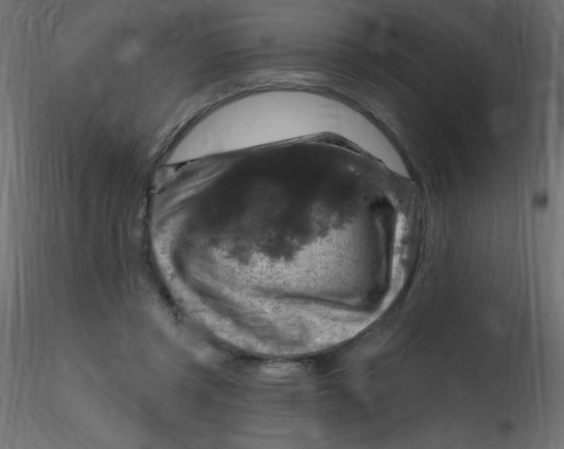 X0000116590357200912312041