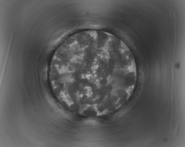 X0000116590358200912312041