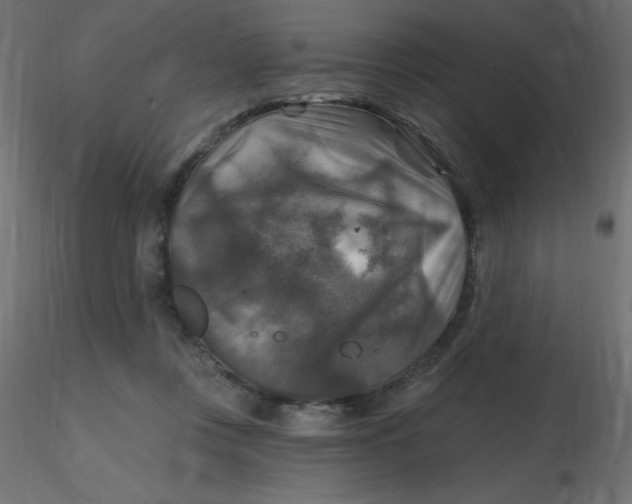 X0000116590359200912312041