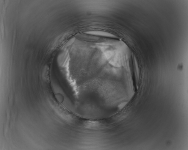 X0000116590361200912312041