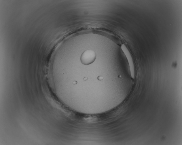 X0000116590362200912312041