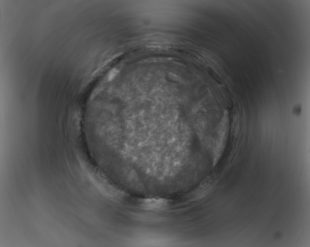 X0000116590363200912312041