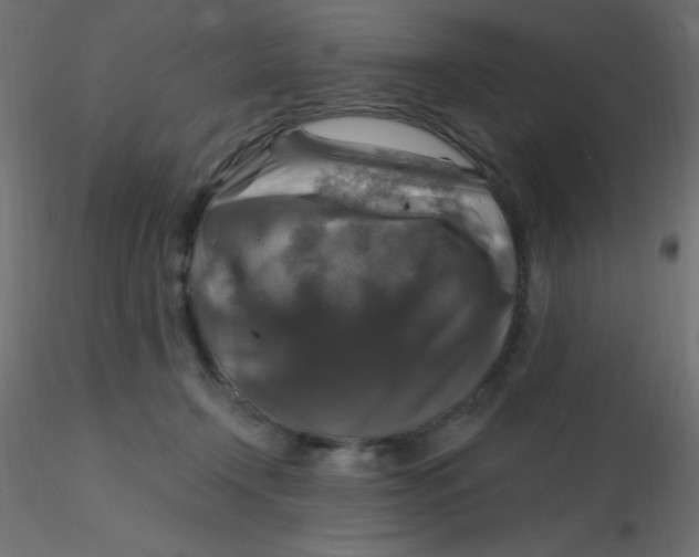 X0000116590366200912312041