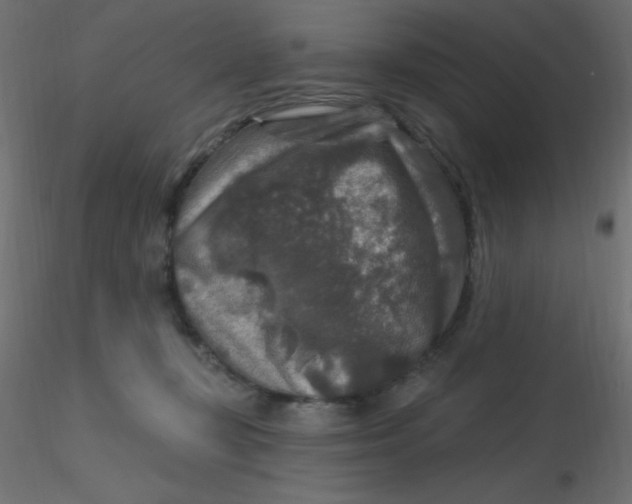 X0000116590367200912312041