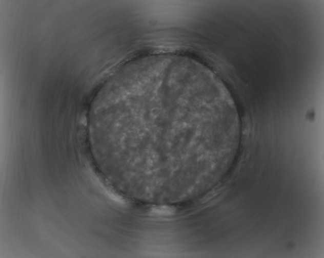 X0000116590369200912312041