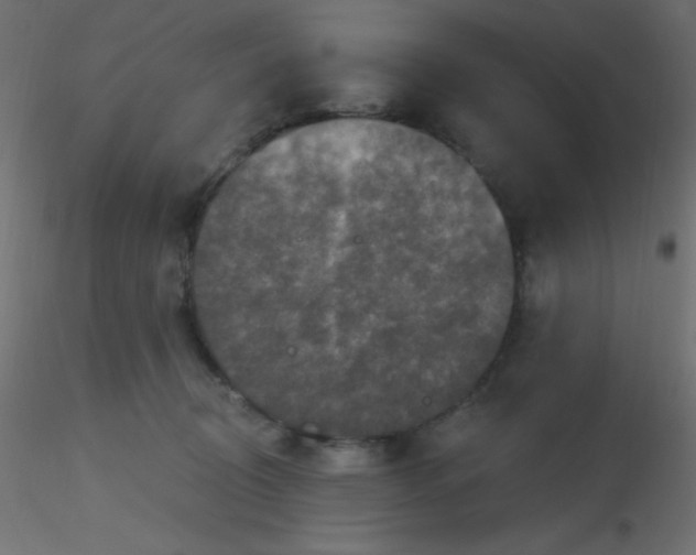 X0000116590370200912312041