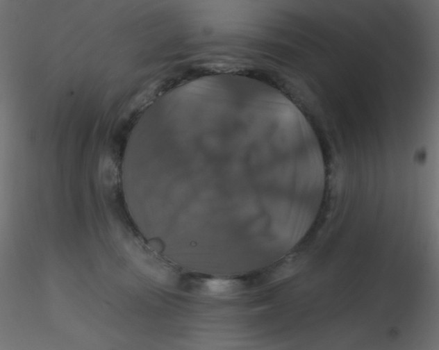 X0000116590371200912312041