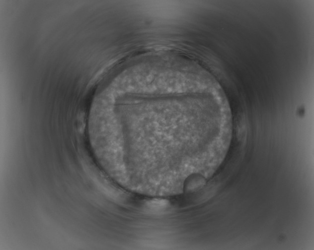 X0000116590374200912312041