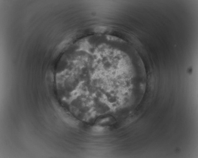 X0000116590375200912312041