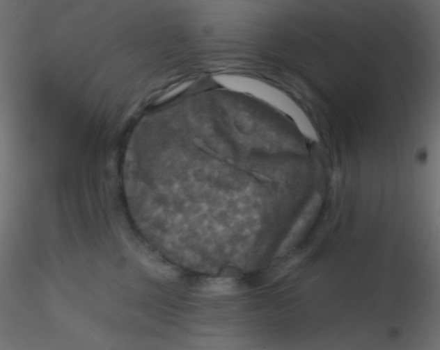 X0000116590377200912312041