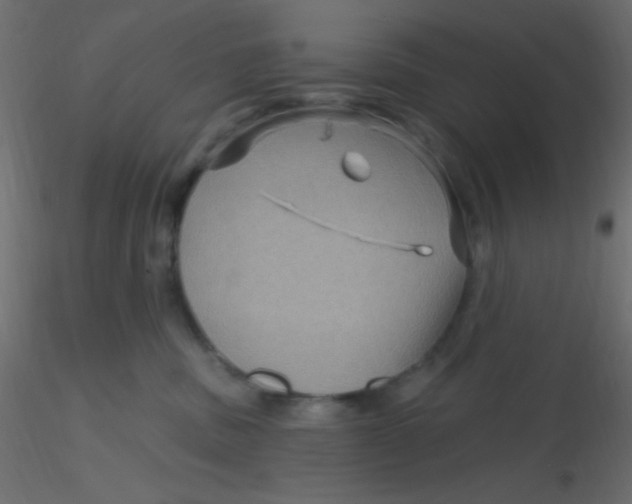 X0000116590379200912312041