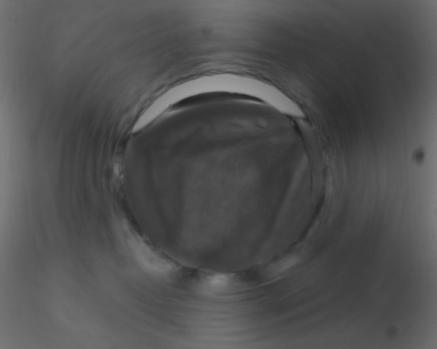 X0000116590382200912312041