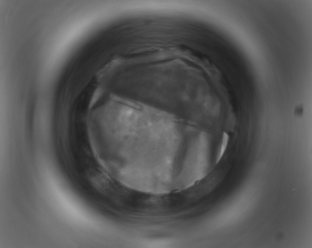 X0000116590383200912312041