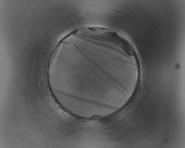 X0000116590385200912312040