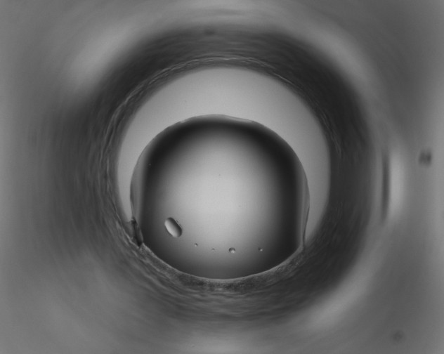 X0000116590387200912312040