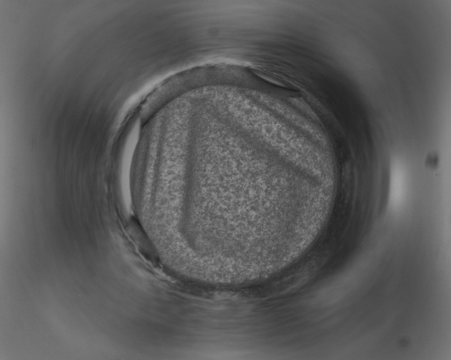 X0000116590388200912312040