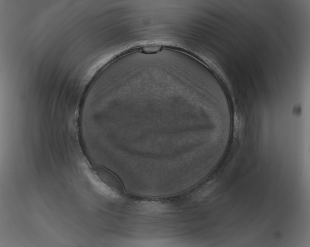 X0000116590389200912312040