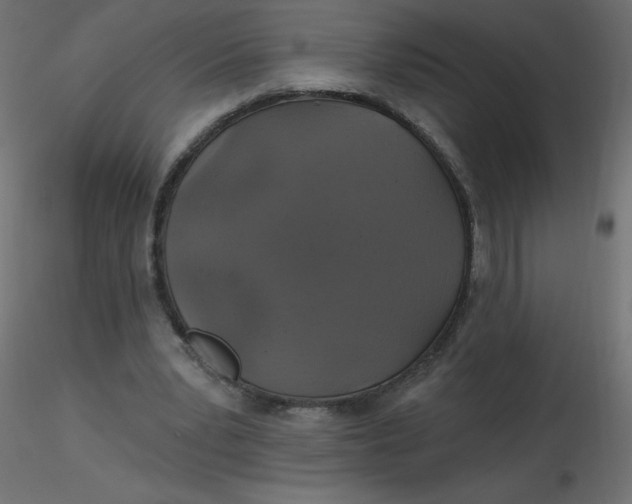 X0000116590391200912312040