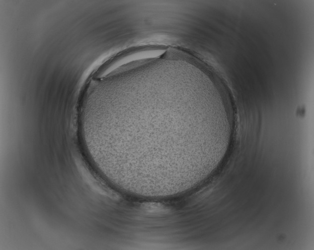 X0000116590392200912312040