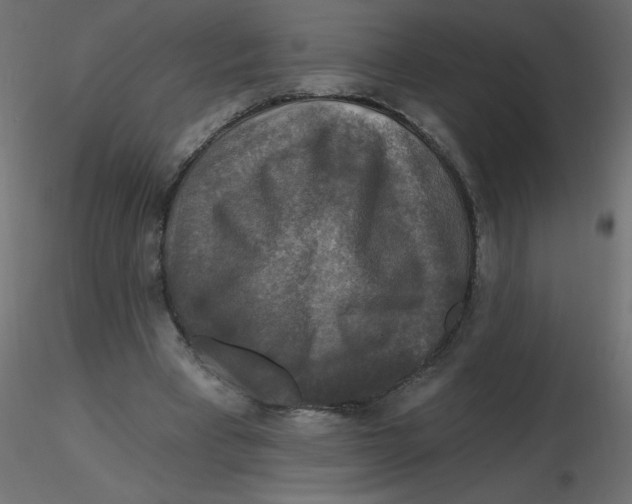 X0000116590393200912312040