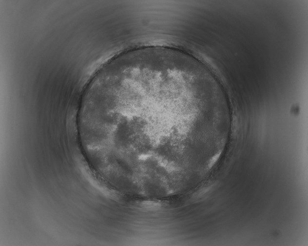 X0000116590394200912312040