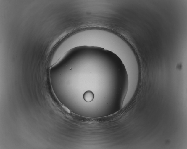 X0000116590395200912312040