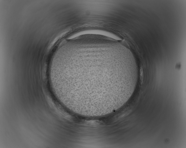 X0000116590396200912312040