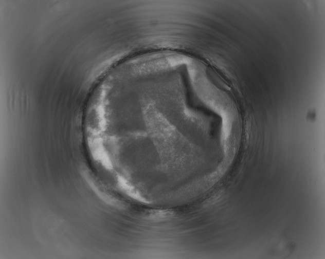 X0000116590398200912312040