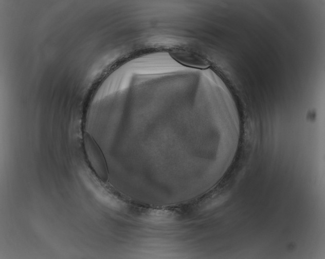 X0000116590399200912312040