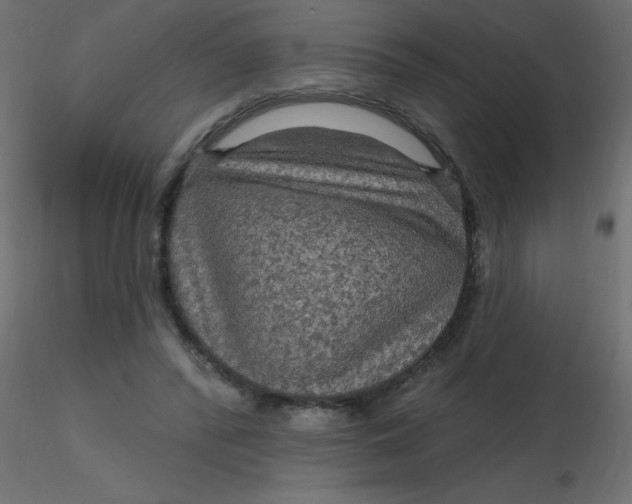 X0000116590400200912312040