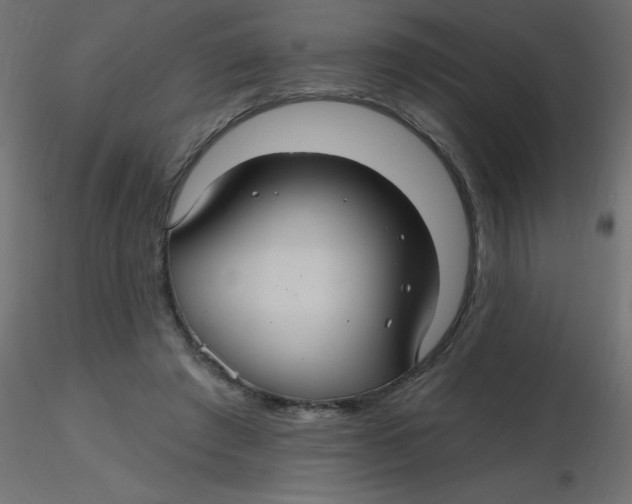 X0000116590401200912312040