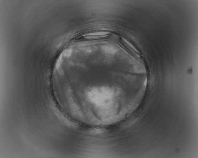 X0000116590402200912312040