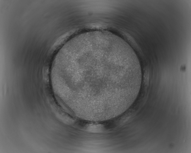 X0000116590403200912312040