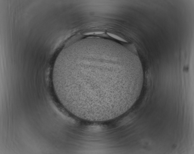 X0000116590404200912312040