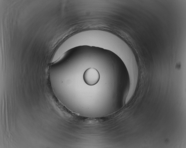 X0000116590405200912312040